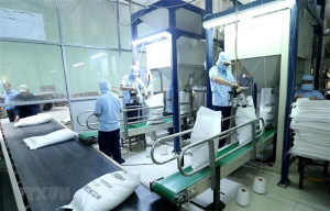 (TTXVN/Vietnam) - Thủ tướng Chính phủ yêu cầu tạm dừng ký hợp đồng xuất khẩu gạo