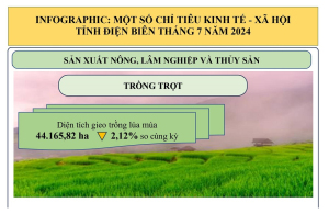 INFOGRAPHIC: KT-XH TỈNH ĐIỆN BIÊN THÁNG 7 NĂM 2024