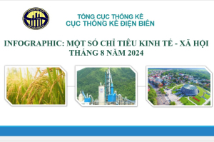 INFOGRAPHIC: KT-XH TỈNH ĐIỆN BIÊN THÁNG 8 NĂM 2024