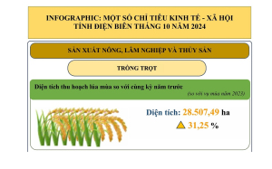 INFOGRAPHIC: KT-XH TỈNH ĐIỆN BIÊN THÁNG 10 VÀ 10 THÁNG NĂM 2024