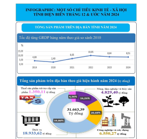 INFOGRAPHIC: KT-XH TỈNH ĐIỆN BIÊN THÁNG 12 VÀ NĂM 2024